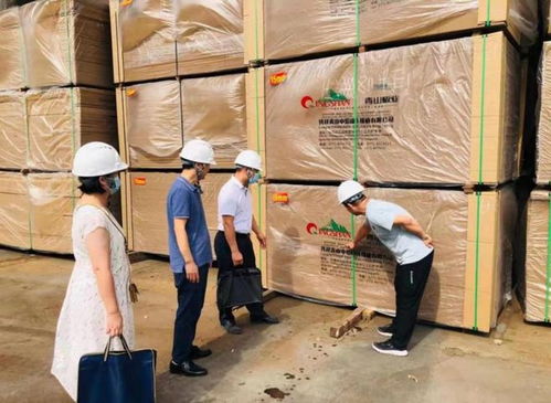 崇左市市场监管局深入实施四大战略，全面提升家具生产质量水平