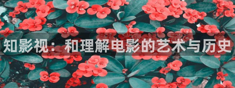 红桃免费观看入口
