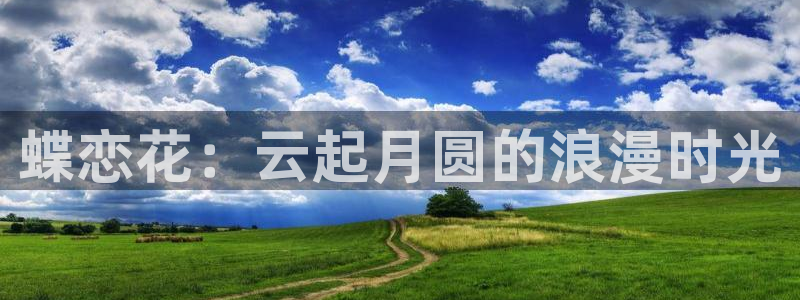 红桃影视在线观看入口：蝶恋花：云起月圆的浪漫时光