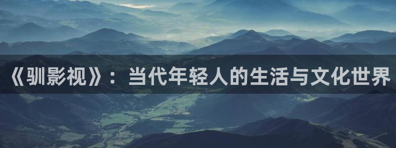 红桃影视网站：《驯影视》：当代年轻人的生活与文化世界
