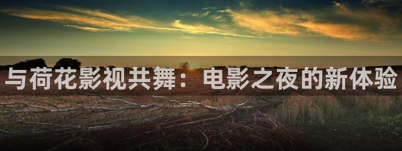 红桃电影免费观看网站