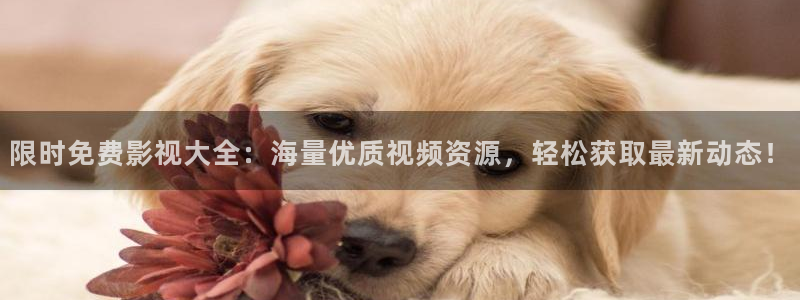 红桃影院~在线观看